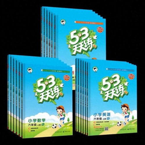 河北小学教辅十大排行榜(小学老师建议买教辅资料)插图3