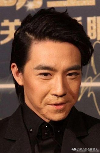 十大不婚男明星排行榜(中国最美十大明星)插图20