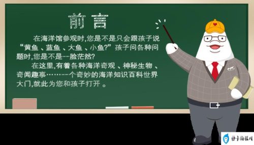 2003年海啸视频完整版(2004大海啸视频)插图