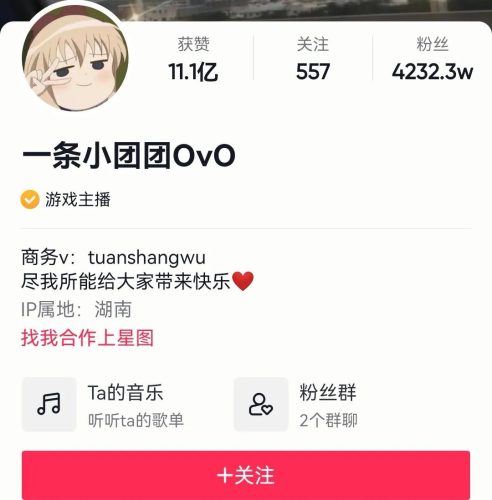 全国大网红前100名(中国网红前100名)插图10