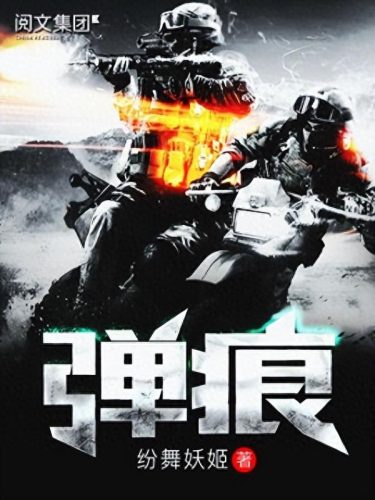 十大经典兵王小说排行榜(40本必看经典小说)插图4