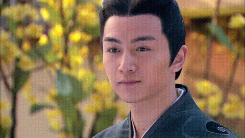 十大经典古装美男排行榜(古装10大美男排行榜)插图14