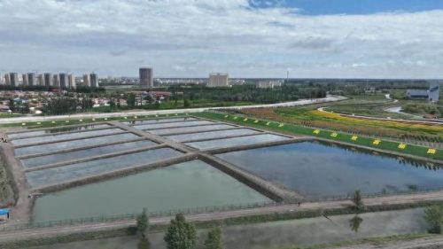 美女吃中国十大海鲜排行榜(最美的海鲜排行榜)插图