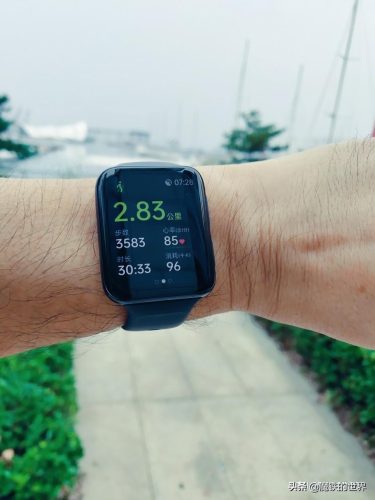 oppo手表watch2的功能(oppo watch 2是运动智能手表吗)插图11