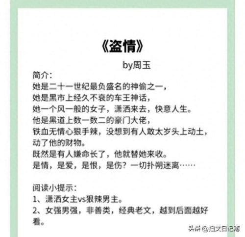 十大黑道纪实小说排行榜(主角建立黑道势力的小说)插图2