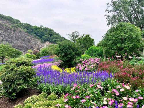 中国十大著名植物园排行榜(国内各大旅游景点排名)插图12