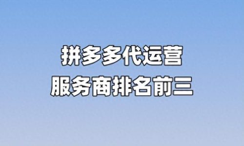 拼多多十大良心店家排行榜(拼多多有哪些良心商家)插图