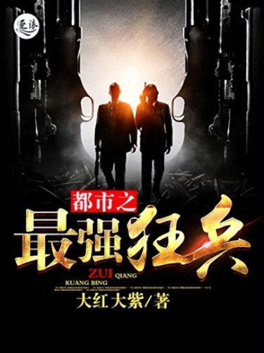 十大经典兵王小说排行榜(40本必看经典小说)插图5