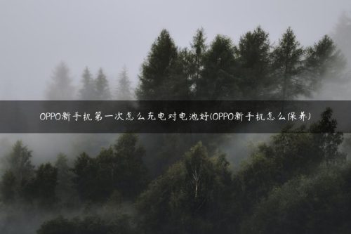 oppo新手机第一次如何正确充电呢(oppo手机电池充电循环次数)插图