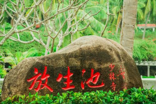 放生的十大好处(放生的好处和功德)插图1
