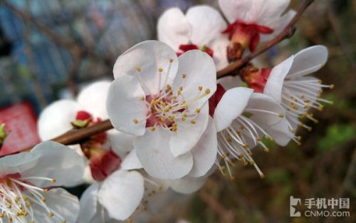 NUBIA Z9 MAX 怎么样(nubiaz9max精英版)插图12