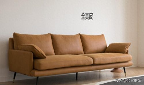 沙发牛皮品牌十大排行榜(高档牛皮沙发)插图9