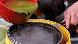 最臭食物十大排行榜(世界十大臭食物)插图19