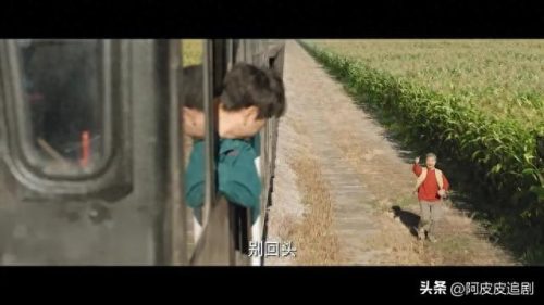 十大犯罪影视剧排行榜最新(中国十大犯罪纪录片)插图25