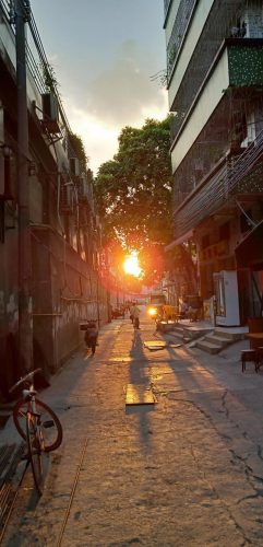 vivoy83目前多少钱(vivoy83现在的价格)插图8