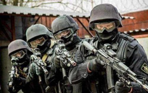 十大雇佣兵小说排行榜都市(十部顶级雇佣兵小说)插图