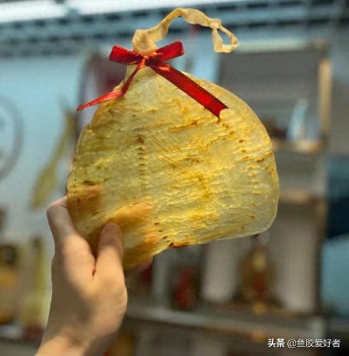 什么是鱼胶十大鱼胶排行榜(巴沙鱼鳔价格)插图16