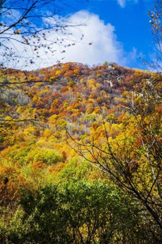 11月旅游十大排行榜(8月份旅游热门排行榜)插图4