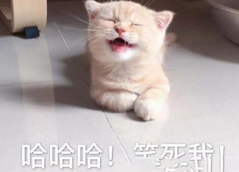 nbcs是什么意思网络用语(nbcs)插图2