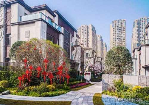 惠东十大豪宅排行榜在哪里(惠东铁涌十大独门独院豪宅)插图3