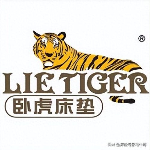 床垫十大品品牌排行榜卧虎(十大品牌床垫)插图12
