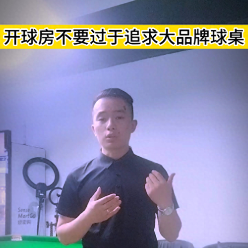 十大品牌桌球桌排行榜价格(桌球桌品牌排行榜)插图3