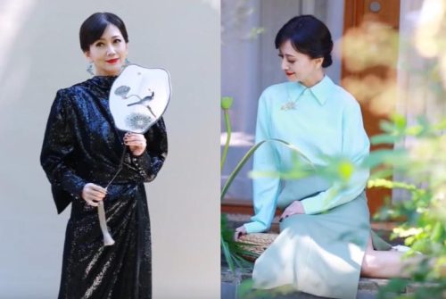 62岁赵雅芝老成什么样(60多岁赵雅芝)插图8