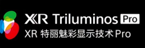 索尼电视推荐买多大(索尼电视机好用不)插图14