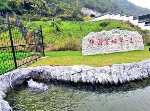 安康十大富硒水品牌排行榜(安康富硒矿泉水有几家)插图