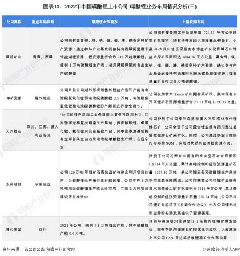 中国碳酸锂十大公司产量排名(中国锂电池十大排名)插图4