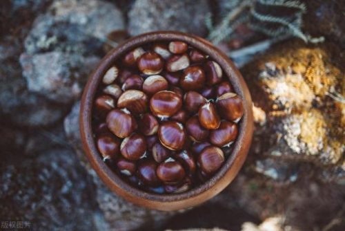 男人补肾食物十大排行榜(男性10大特效药)插图1