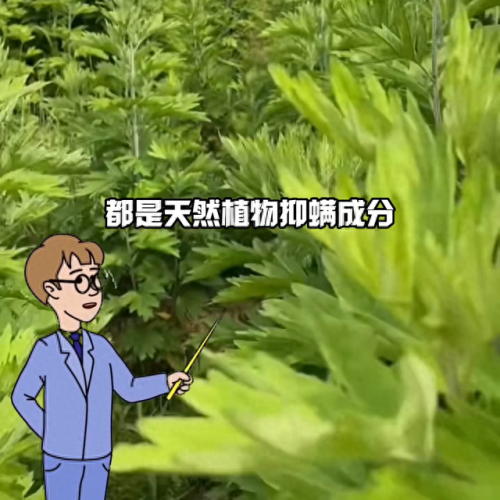 去螨虫香皂十大排行榜(去螨虫香皂哪个牌子的好)插图1