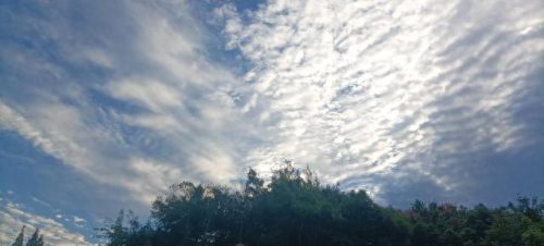 国产商务飞机十大排行榜(中国豪华私人飞机排行榜前十名)插图4