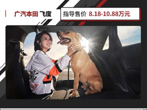 十大耐用家庭车排行榜价格(十大最耐用柴油面包车)插图6