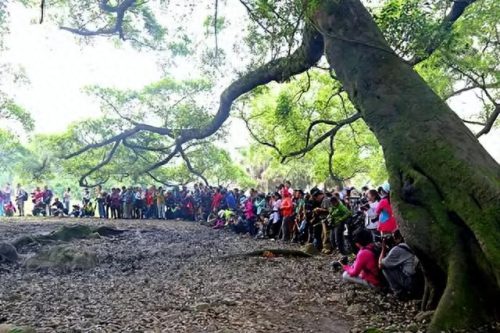 网红十大坑景点排行榜(大理圣托里尼网红景点)插图12