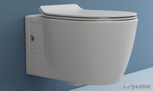 家用马桶品牌十大排行榜(买马桶选什么品牌较好)插图28
