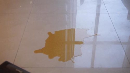 shark吸尘器使用教程(便携吸尘器shark)插图12