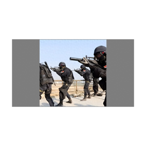 国家十大特种兵排行榜图片(特种兵十大必备技能)插图9