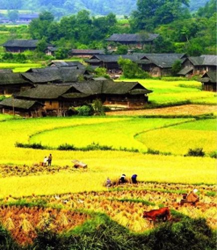 怀化地固十大排行榜(怀化必买的十大特产)插图20