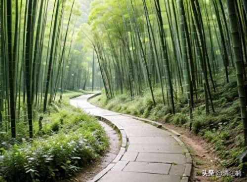 除草剂十大产品排行榜最新(环嗪酮除草剂)插图29