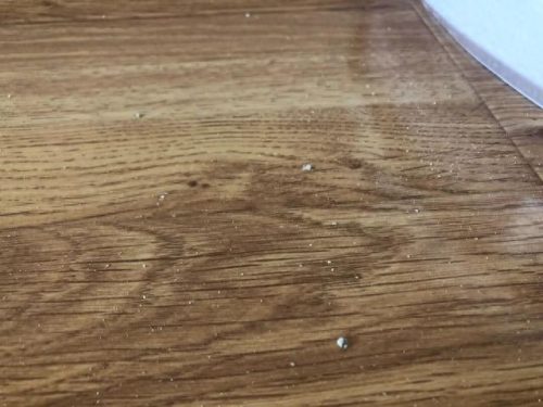 网红十大好物排行榜(十大网红小家电)插图33
