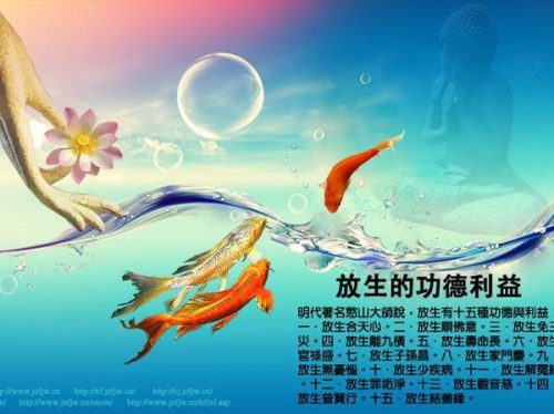 放生的十大好处(放生的好处和功德)插图