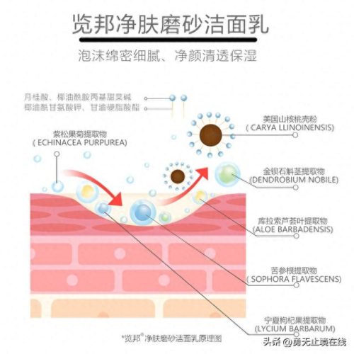 安基酸十大品牌排行榜图片(氨基酸有哪些牌子)插图2