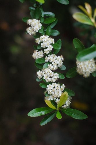 nikond50价格(d5尼康多少钱)插图9