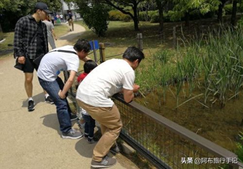 日本十大发明家排行榜(日本十大顶尖包装)插图5