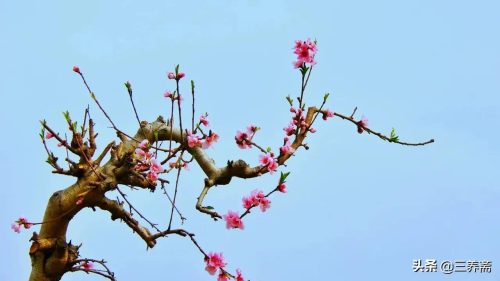 起承转合结构模式什么意思(起承转合结构模式)插图3
