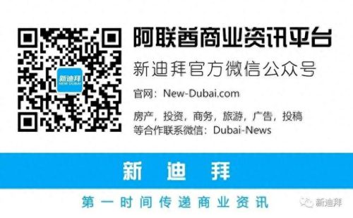 迪拜十大土豪车排行榜最新(迪拜丰田车)插图4