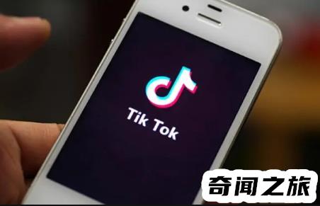20个嘉年华是多少人民币(一个嘉年华是多少元)插图1