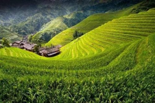 怀化地固十大排行榜(怀化必买的十大特产)插图26