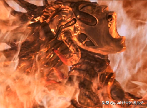 十大必看电影排行榜异种(十大免费电影神器app)插图56